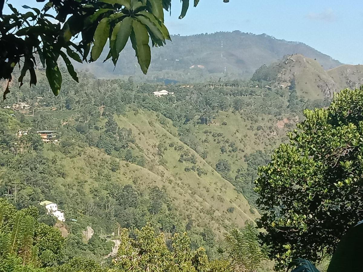 Charming View Homestay エッラ エクステリア 写真