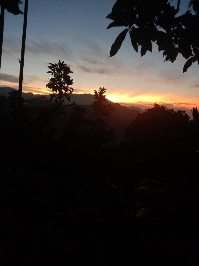 Charming View Homestay エッラ エクステリア 写真