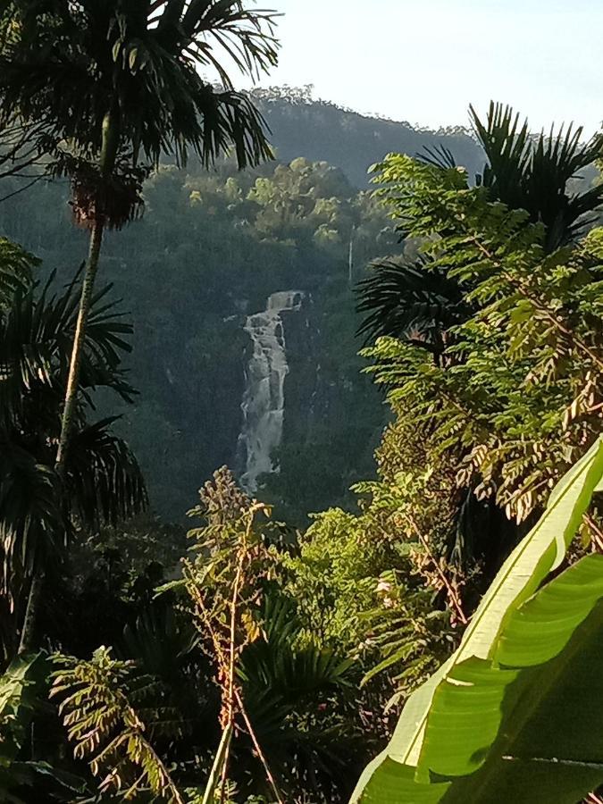 Charming View Homestay エッラ エクステリア 写真