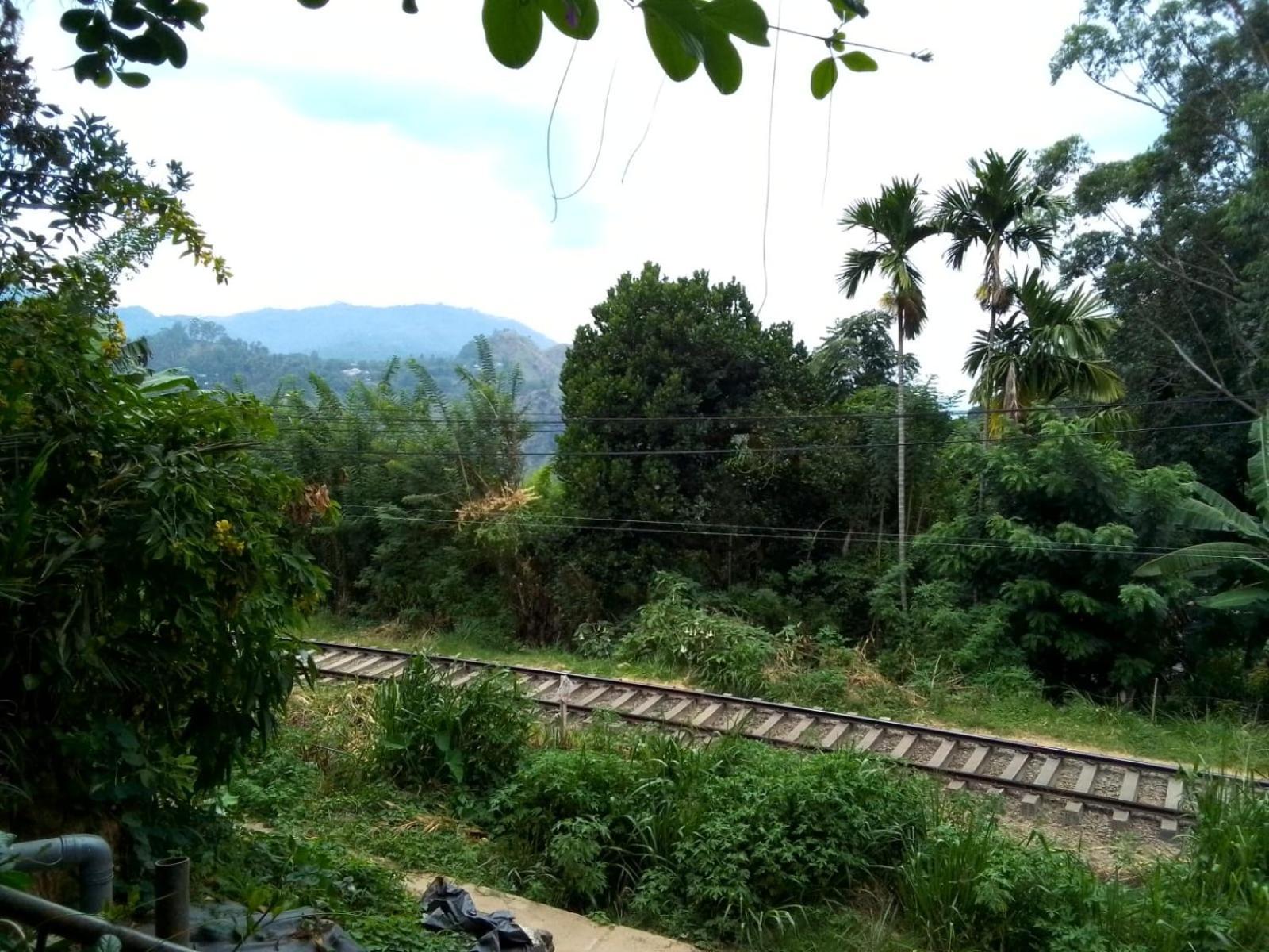 Charming View Homestay エッラ エクステリア 写真