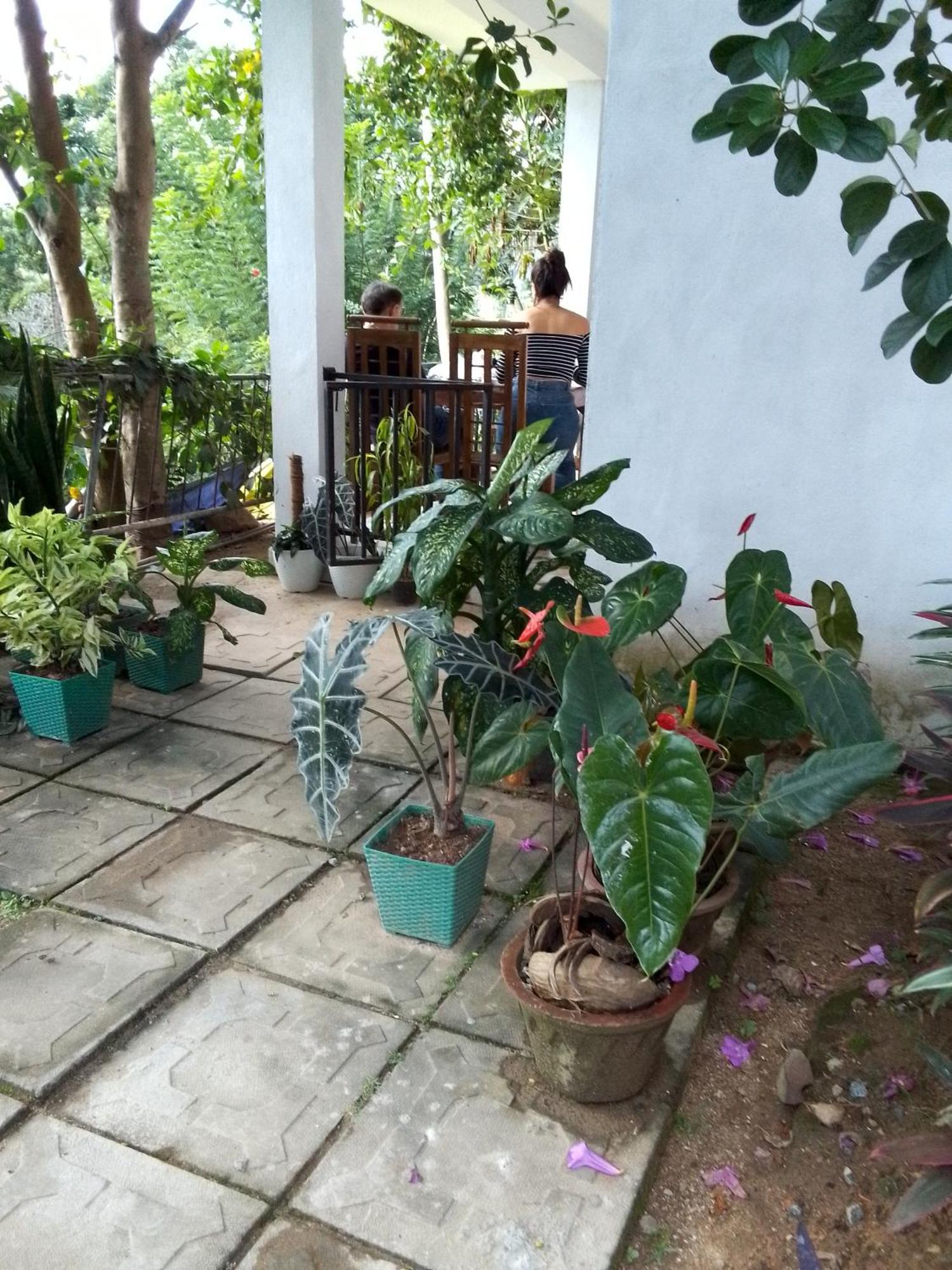 Charming View Homestay エッラ 部屋 写真