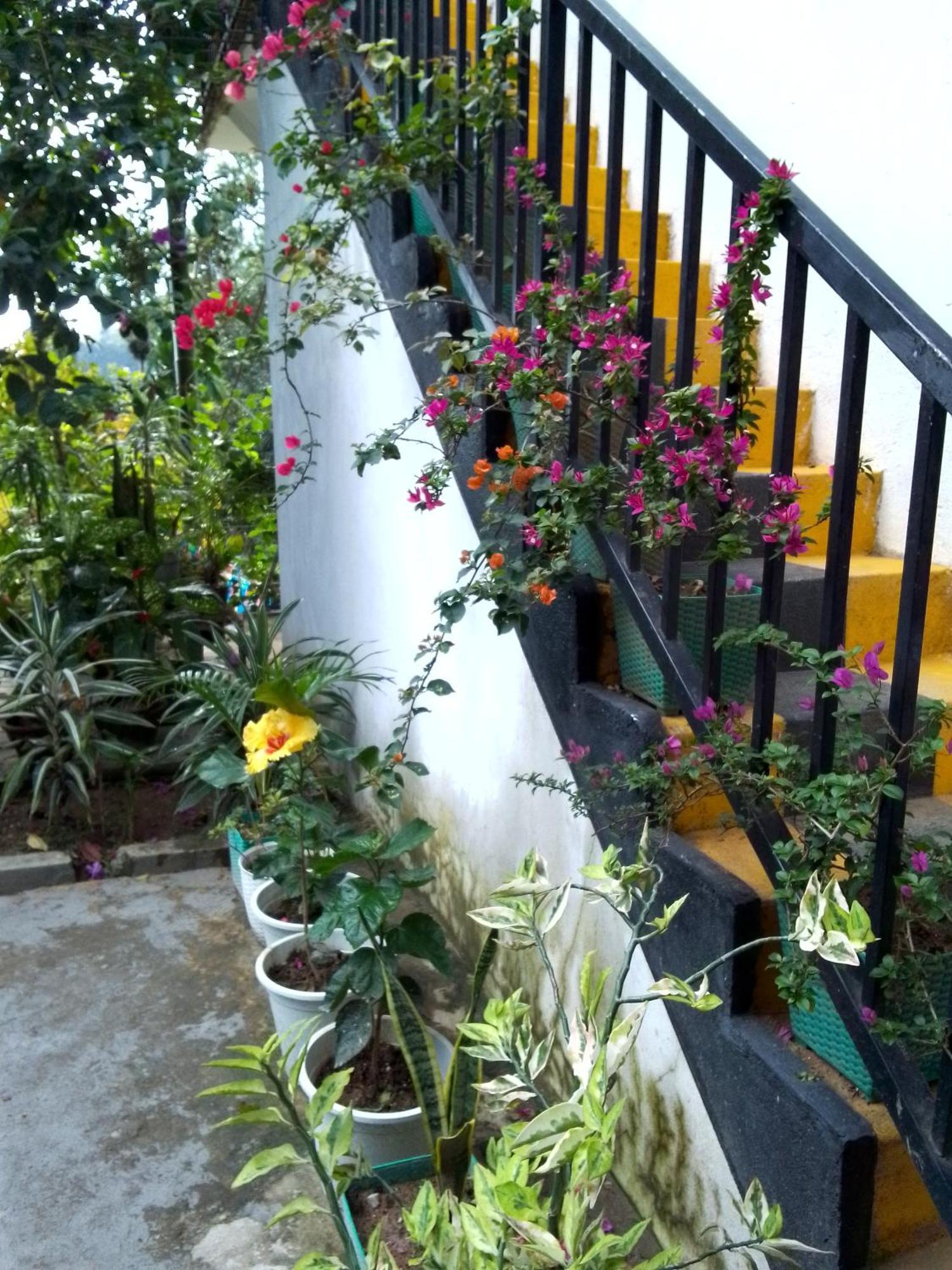 Charming View Homestay エッラ エクステリア 写真